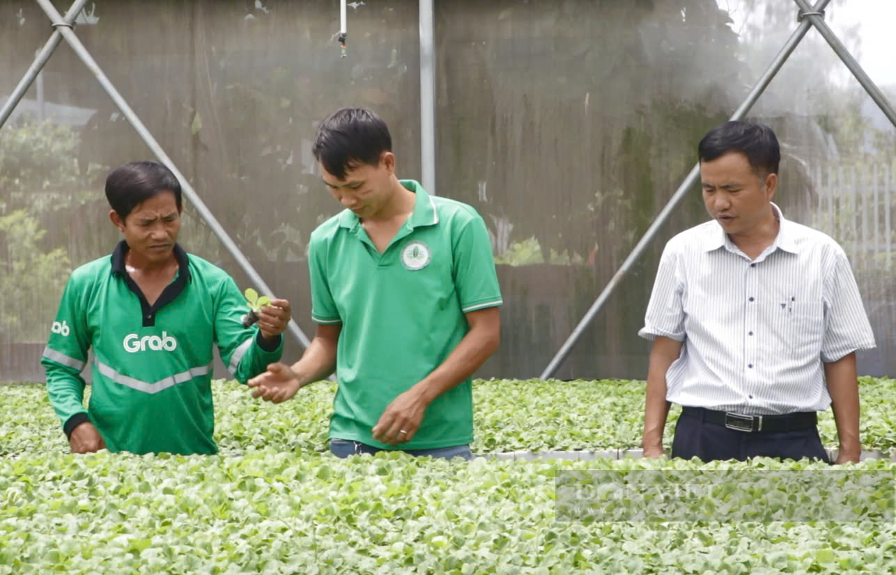 Nông dân Việt Nam xuất sắc đến từ Bà Rịa-Vũng Tàu - Ảnh 2.